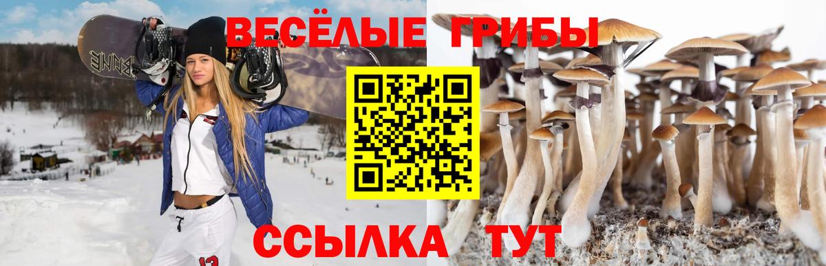 Галлюциногенные грибы прущие грибы  купить закладку  Саянск  Галлюциногенные грибы прущие грибы  Вход с VPN 